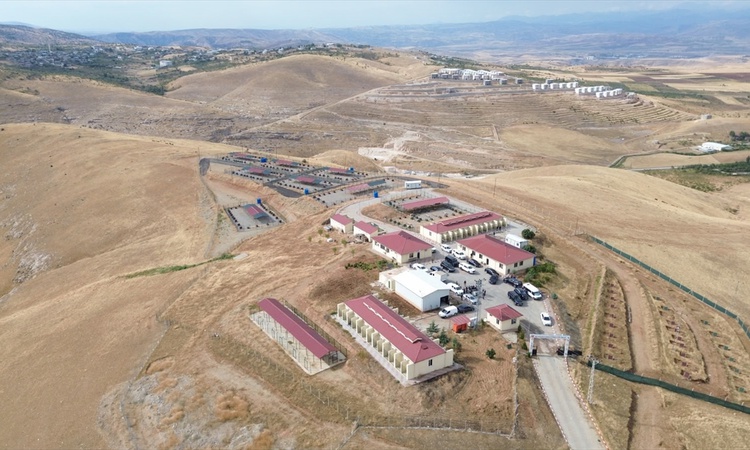 Siirt Valisi Kızılkaya, sokak hayvanları merkezinde 1 tonluk mama üretimini inceledi | İşte Tüm Ayrıntılar