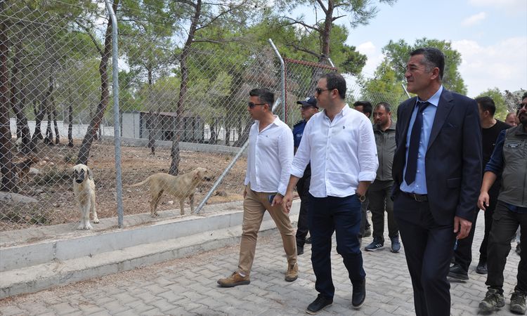 Gündemden Son Bilgiler: Silifke'de doğal yaşam alanı incelendi - Son Dakika Haberleri | İşte Tüm Ayrıntılar