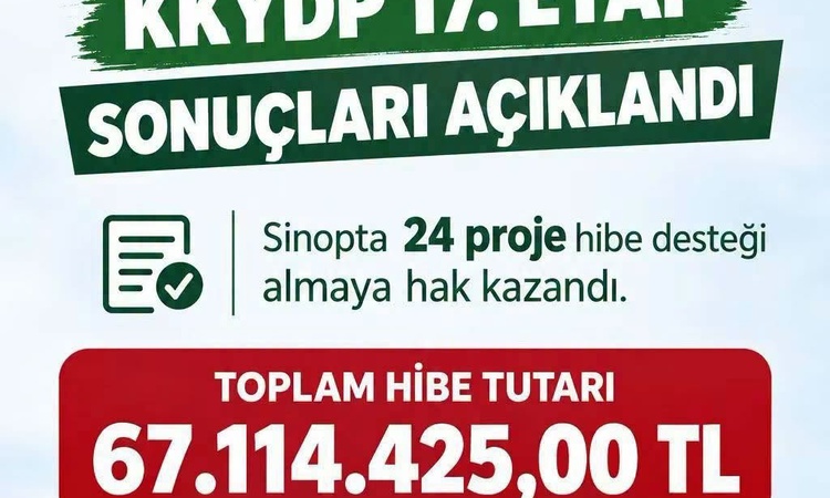 Sinop'ta 24 projeye 67 milyon 114 bin 425 lira hibe desteği verilecek ve Merak Edilenler
