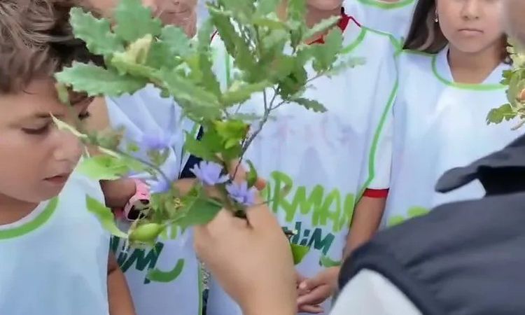 Ayrıntılar Netleşti: Sinop'ta Minik Judoculara Orman Yangınları Farkındalık Eğitimi - Son Dakika ve Merak Edil