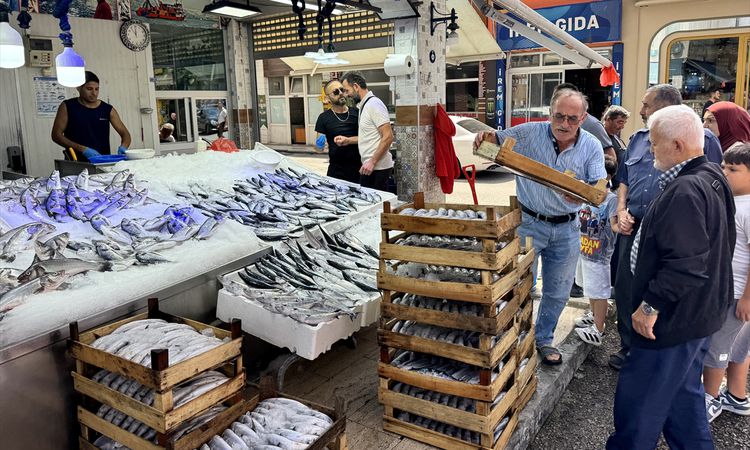 Son Gelişme: Sinop'ta Palamut Bolluğu: Tezgahlarda 200-250 TL - Son Dakika ve Merak Edilenler