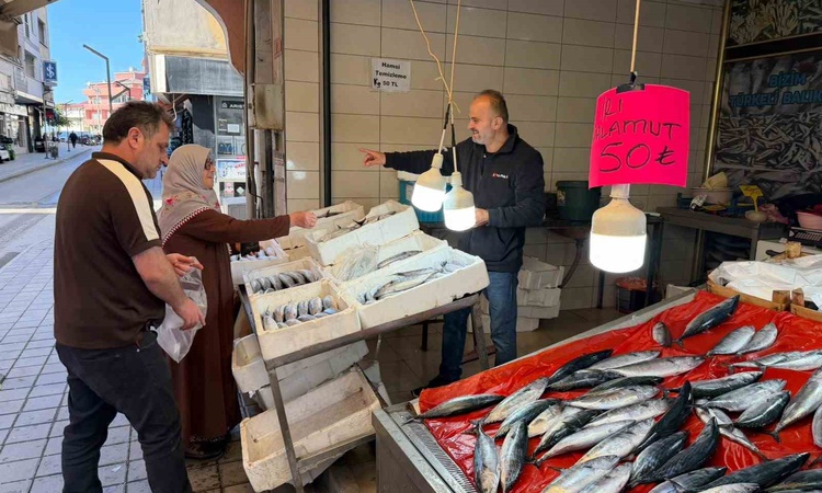 Sinop Türkeli'de tezgahlara gelen palamut 50 TL'den satışa çıktı | İşte Tüm Ayrıntılar