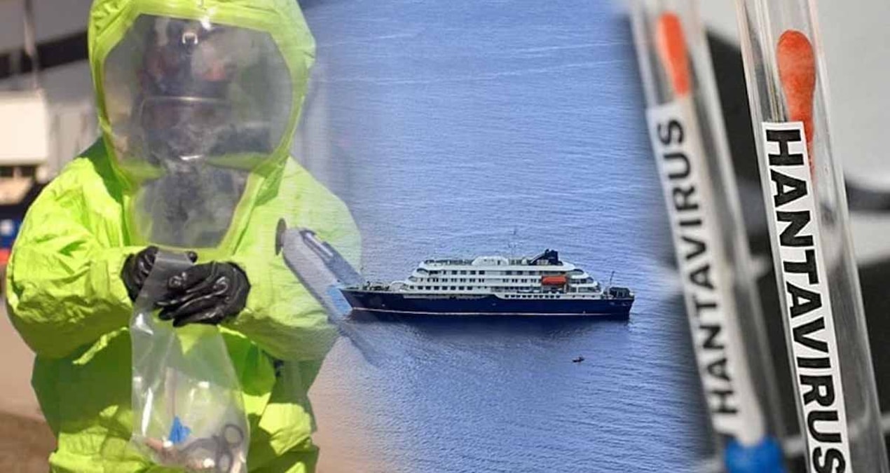 Son Gelişme: Sıradan bir virüs değil: Gemi yolcularını esir alan hantavirüs insandan insana nasıl yayılıyor? -