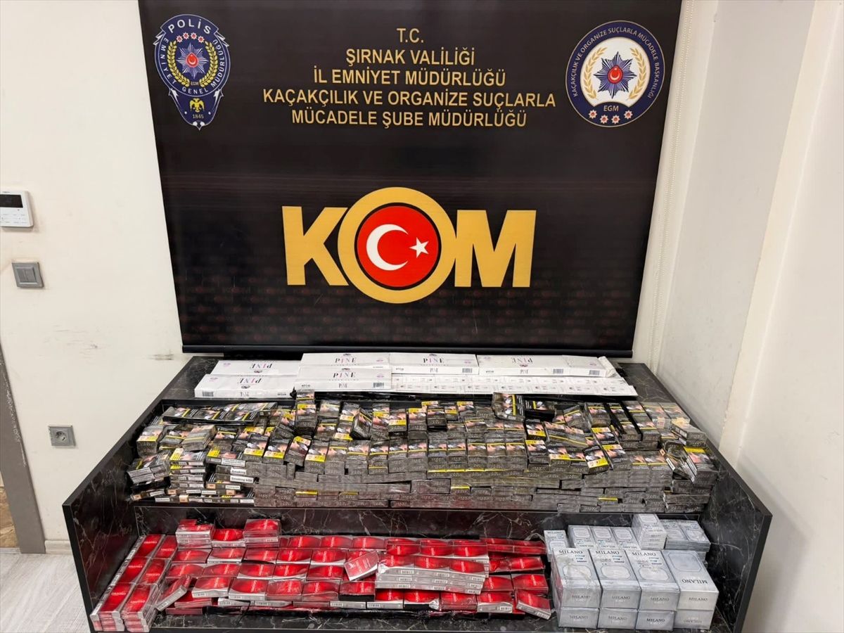 Action was taken against 45 suspects in smuggling and public order raids in Şırnak - Last Minute