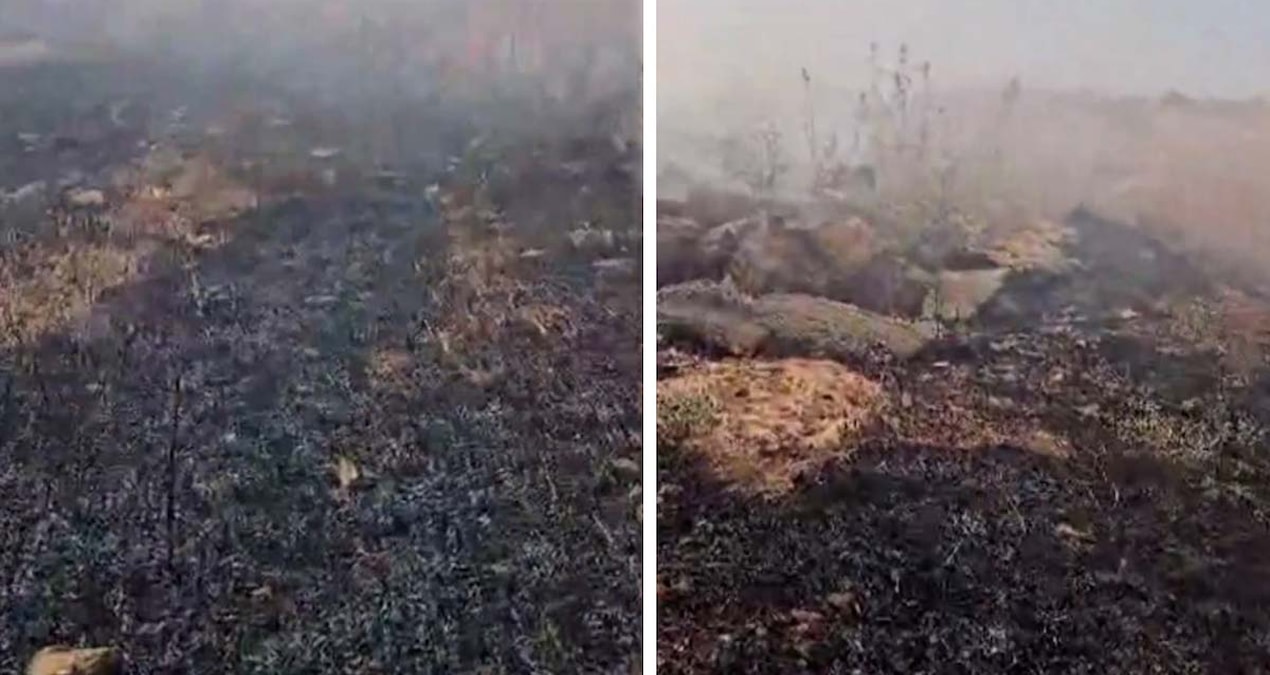 Fire in the garden of the Faculty of Agriculture in Şırnak - Latest News
