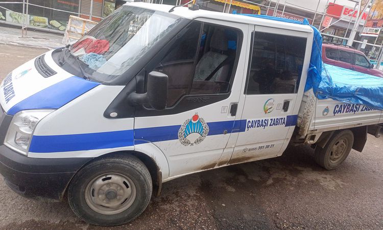 Son Gelişme: Sokak hayvanları olayında 'itibar suikastı' iddiası - Son Dakika - Son Dakika Bilgileri