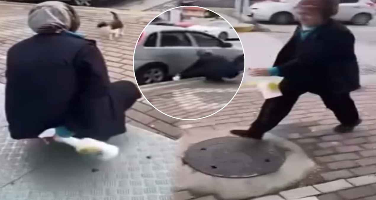 Gündemden Son Bilgiler: Sokak kedisine yaptığı eziyeti paylaşan vicdansız çalıştığı zincir marketten kovuldu -