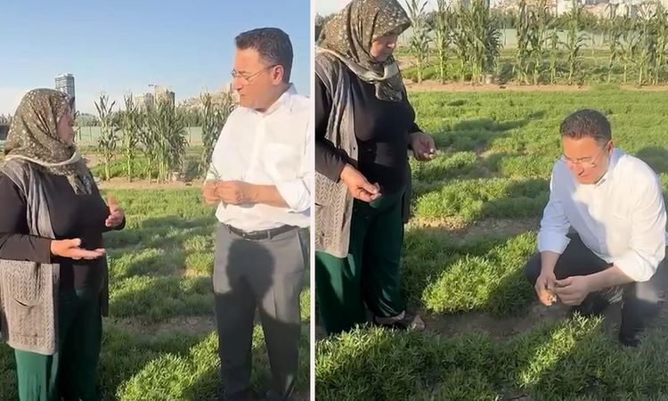 Son Gelişme: 30 yıllık üretici Ali Babacan'a dert yandı: Geçinemiyoruz, bırakacağız | İşte Tüm Ayrıntılar