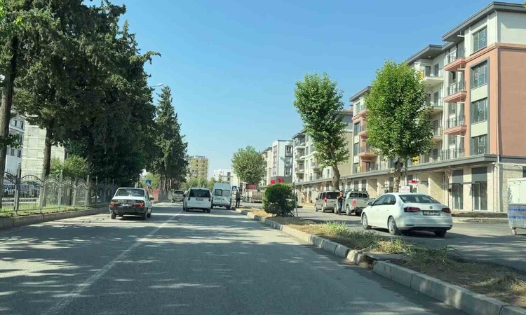 Son Gelişme: Adıyaman'da 3 yıl sonra araç kamerası enkazın yerine yeni yaşamı görüntüledi - Son Dakika Bilgile