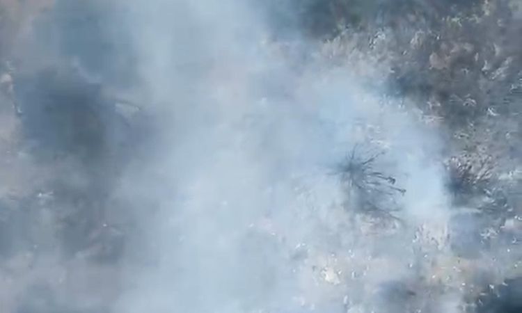 Son Gelişme: Alanya'da yangınlar kontrol altında | İşte Tüm Ayrıntılar