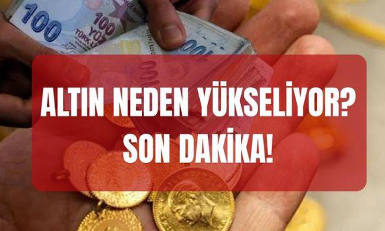 Son Gelişme: Altın neden yükseliyor? SON DAKİKA! Altın yükselmeye devam edecek mi? ve Merak Edilenler