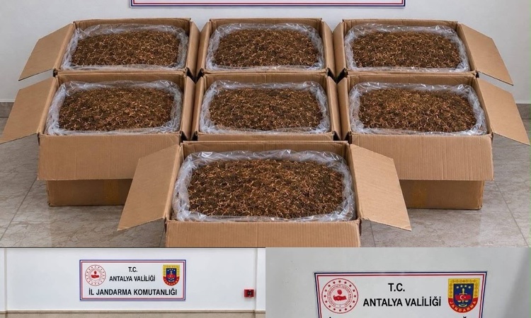Son Gelişme: Antalya Alanya ve Döşemealtı'nda 210 kg tütün ve 377 paket kaçak sigara ele geçirildi | İşte Tüm
