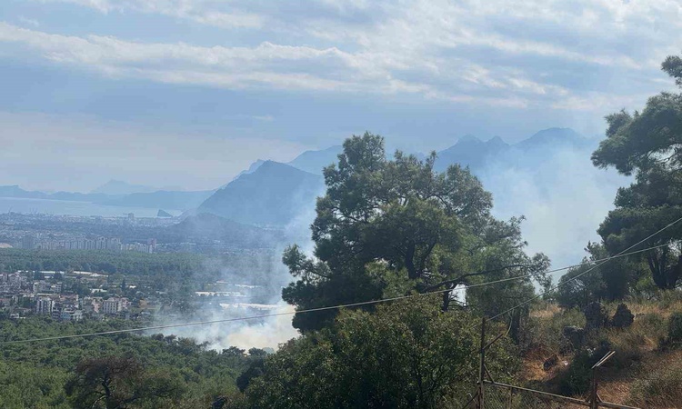 Son Gelişme: Antalya Kepez'de orman yangınına 2 uçak ve 4 helikopterle müdahale ediliyor ve Merak Edilenler
