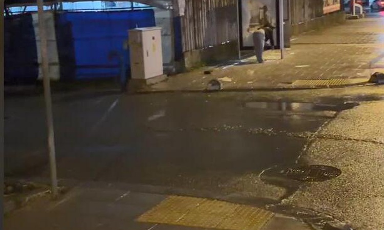Son Gelişme: Arnavutköy'de bir kadın, İETT durağının camını taşla kırıp çevredekilere küfretti - Son Dakika Bi
