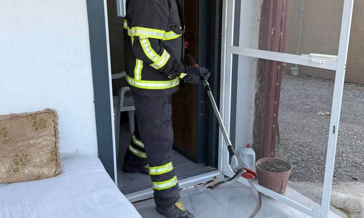 Son Gelişme: Arsuz'da Evin İçinde Bulunan Yılan Doğal Yaşamına Geri Bırakıldı