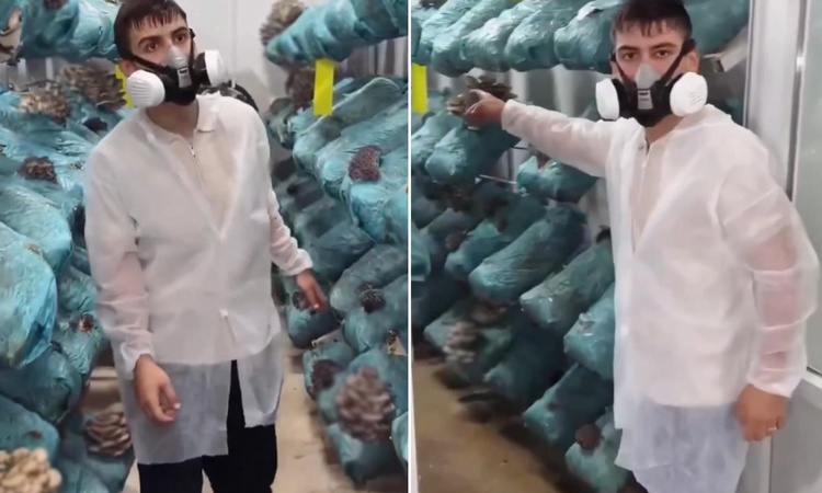 Son Gelişme: Avukatlığı bırakıp bu işe resmen start aldı! 30 bin lira yerine 250 bin lira kazanıyor