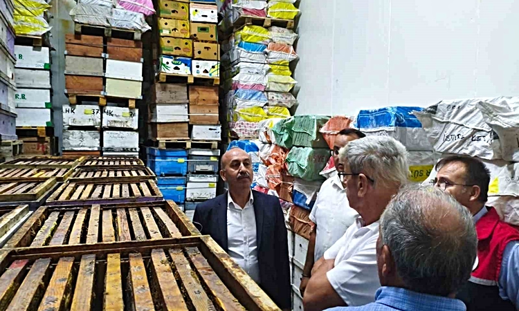 Son Gelişme: Balıkesir İl Tarım ve Orman Müdürü Düzgün, Havran'da arı ürünleri deposunu inceledi: Gelişmeler T