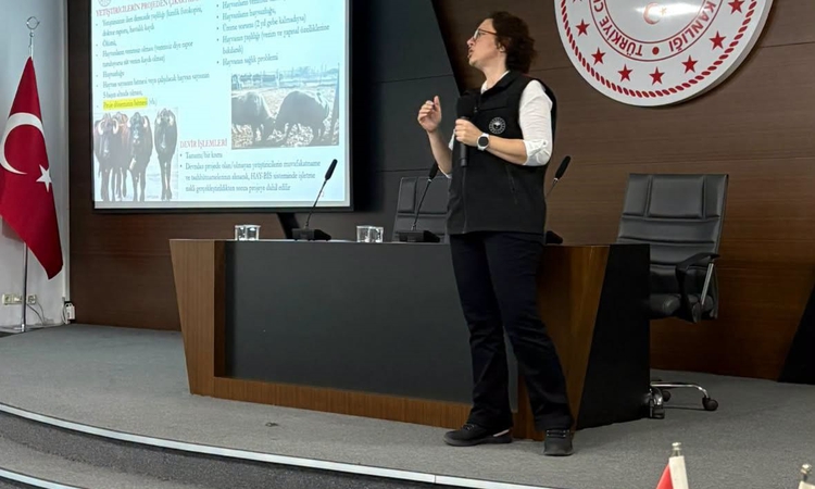 Son Gelişme: Bandırma Koyunculuk Araştırma Enstitüsü’nden manda yetiştiricilerine bilgilendirme | İşte Tüm Ayr