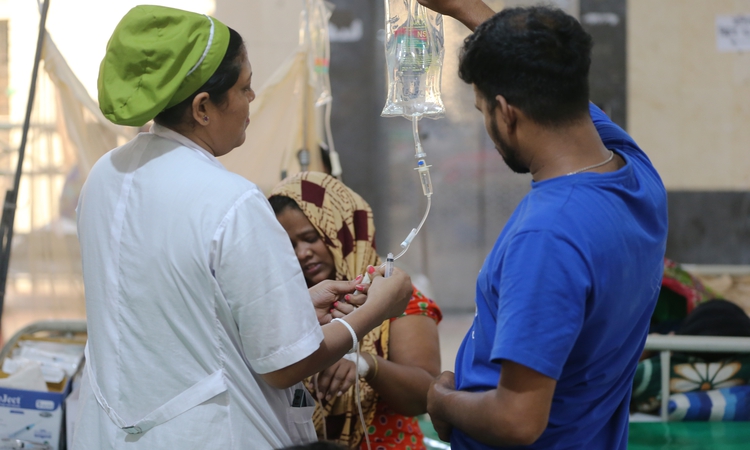 Son Gelişme: Bangladeş, dang hummasıyla mücadele için 3 aylık kampanya başlattı ve Merak Edilenler