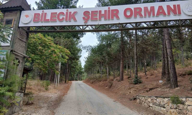 Son Gelişme: Bilecik Şehir Ormanı’nın yolları köstebek yuvasına döndü