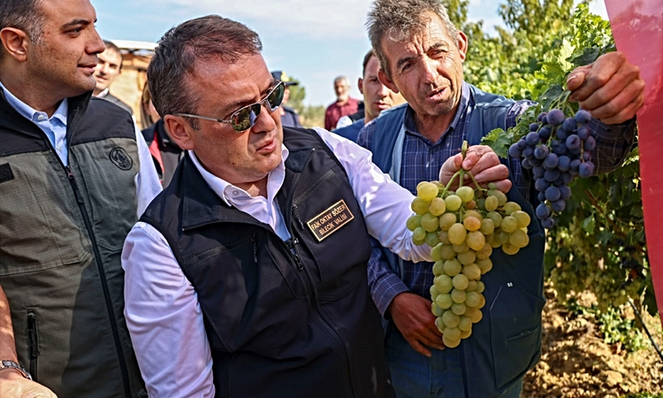 Son Gelişme: Bilecik Valisi Sözer üzüm hasadına katıldı - Son Dakika Bilgileri