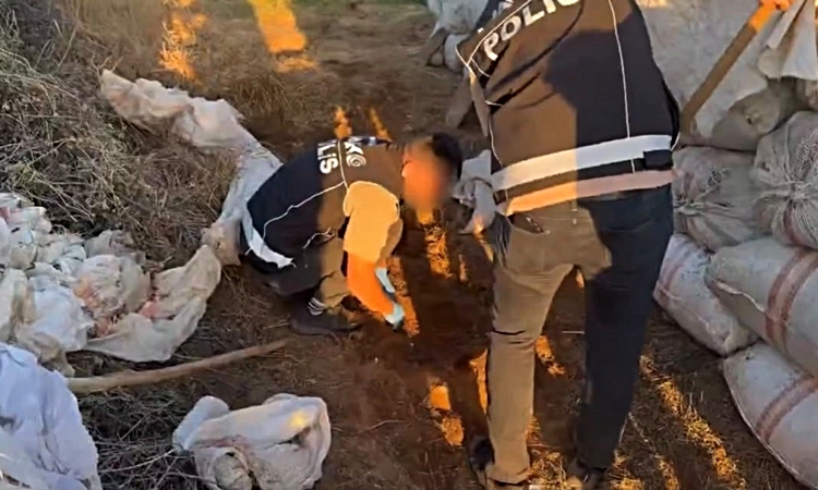 Son Gelişme: Bingöl’de 4 kilo 450 gram esrar ele geçirildi | İşte Tüm Ayrıntılar