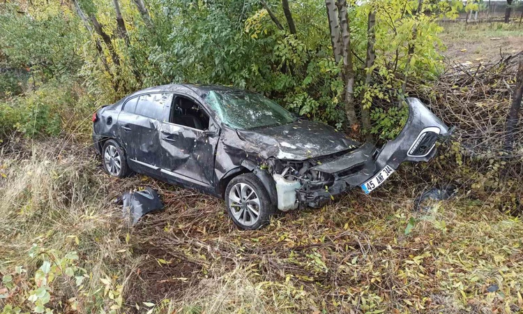 Son Gelişme: Bingöl-Erzurum karayolunda ağaçlara çarpan otomobilde 2 kişi yaralandı