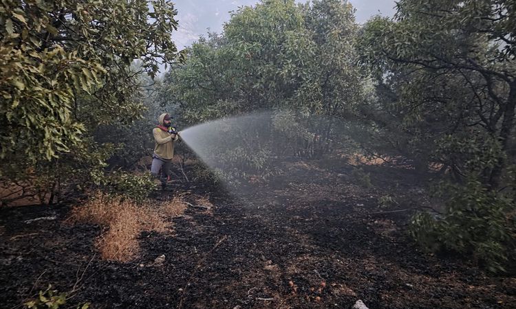 Son Gelişme: Bingöl'de orman yangını kontrol altında