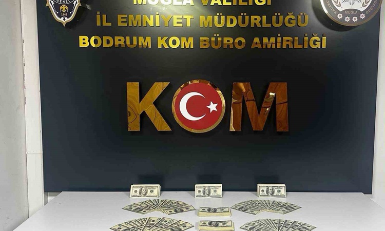 Son Gelişme: Bodrum'da sahte dolar operasyonunda şüpheli hakkında tutuklama kararı verildi, 46 bin 200 dolar b