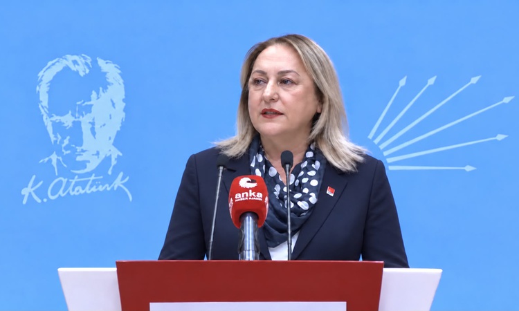 Son Gelişme: CHP Kadın Kolları Genel Başkanı Gülsever, 100 çocuktan 37'sinin yoksulluk riskini anlattı - Son D