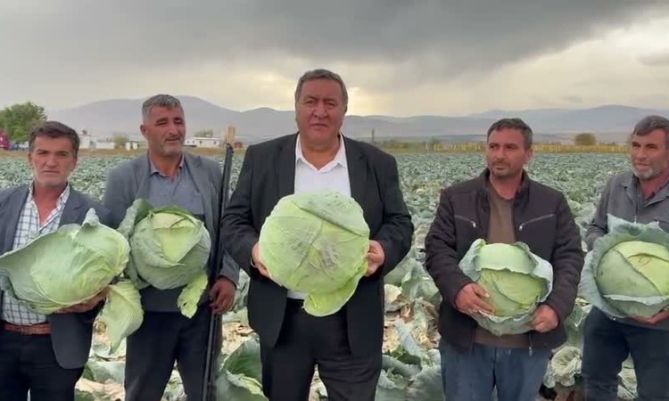 Son Gelişme: CHP'li Gürer, Niğde'de lahananın 30-35 liraya alıcı bulmakta zorlandığını söyledi