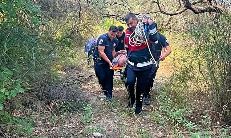Son Gelişme: Defne’de ağaçtan düşen vatandaş yaralandı | İşte Tüm Ayrıntılar