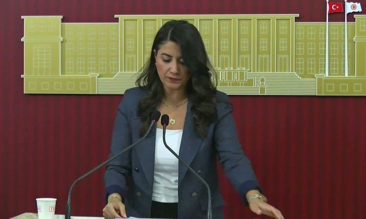 Son Gelişme: DEM Partili Ayan, 2025'te ortalama yoksulluk nafakasının 1179 lira olduğunu savundu - Son Dakika
