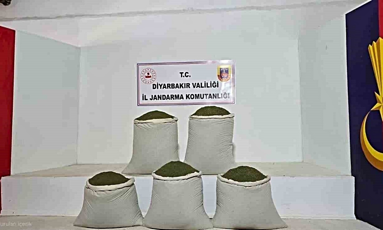 Son Gelişme: Diyarbakır’da 14 bin kök kenevir, 129 kilo esrar ele geçirildi ve Merak Edilenler