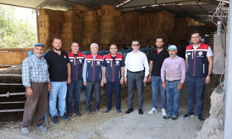 Son Gelişme: Edirne'de Hayvancılığa Destek Projesi ile 3 Buzağı Dünyaya Geldi: Gelişmeler Takip Ediliyor