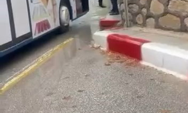 Son Gelişme: Elazığ'da otobüs şoförü ile yolcu kavgası şemsiye darbeleriyle kameraya yansıdı