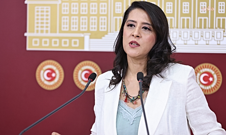 Son Gelişme: EMEP'li Karaca, Van YYÜ'nün 387 milyon lira zararını Meclis'e taşıdı - Son Dakika Bilgileri
