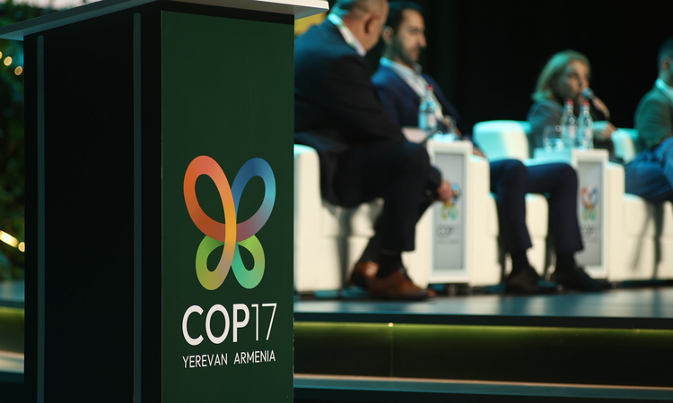 Son Gelişme: Erivan'daki COP17'de hava kirliliğinin sağlık ve biyoçeşitliliğe etkileri ele alındı - Son Dakika