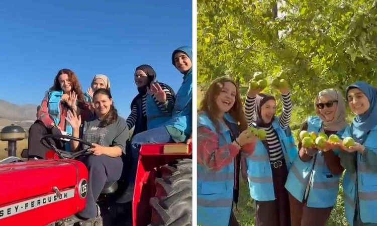 Son Gelişme: Erzincan Kız Öğrenci Yurdu öğrencileri Üzümlü'de meyve hasadına katıldı ve Merak Edilenler