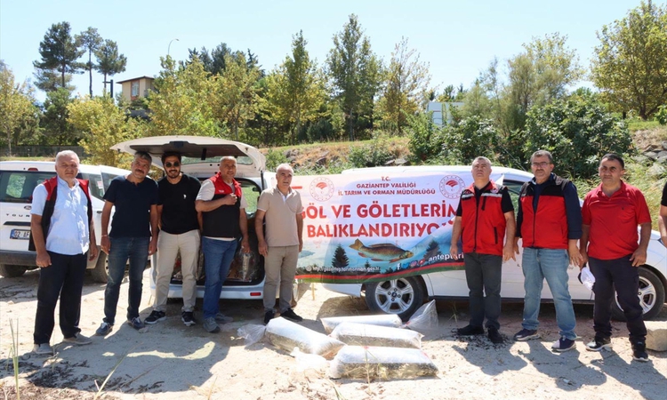 Son Gelişme: Gaziantep'te iç sulara 1 milyon 98 bin yavru sazan bırakıldı | İşte Tüm Ayrıntılar