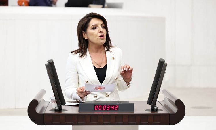 Son Gelişme: Gülcan Kış: "Hazine her 100 liralık iç borç için 103 lira faiz ödeyecek" - Son Dakika Bilgileri
