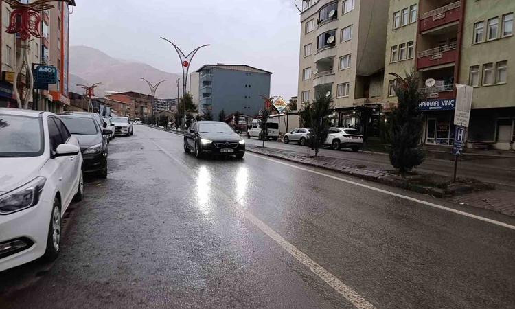 Son Gelişme: Hakkari'de sağanak ve sis sürüyor, Hakkari-Van, Hakkari-Çukurca yollarında kaya riski var ve Mera