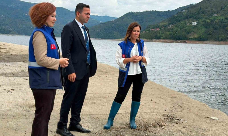 Son Gelişme: Hasan Uğurlu Baraj Gölü’ne 250 bin yavru sazan bırakıldı - Son Dakika Bilgileri
