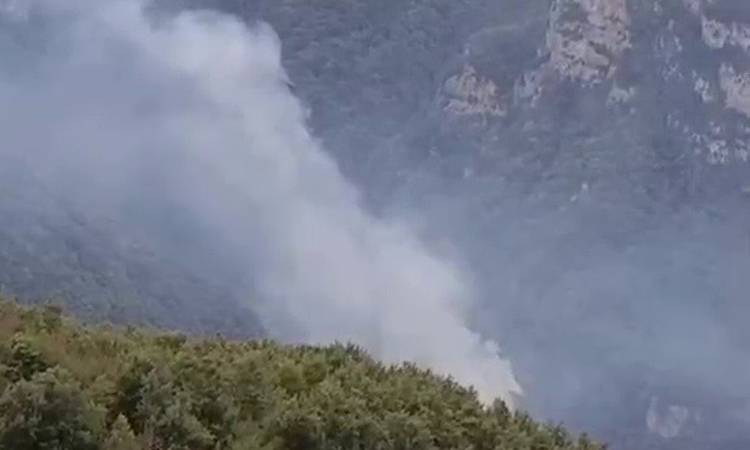 Son Gelişme: Hatay’da orman yangını: Ekiplerin müdahalesi resmen start aldı | İşte Tüm Ayrıntılar