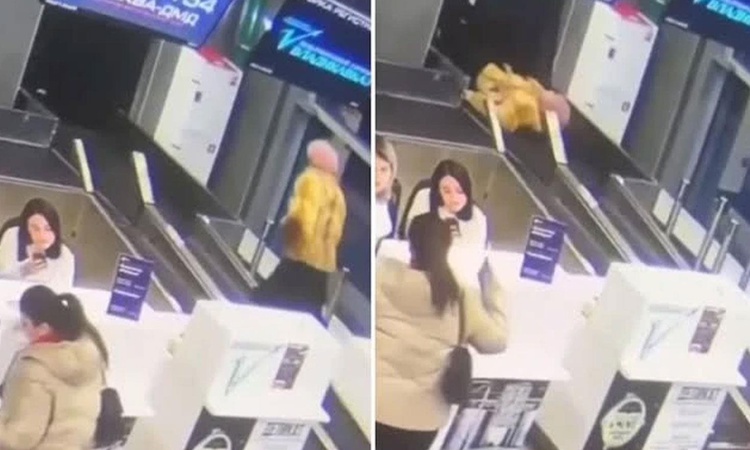 Son Gelişme: Havalimanında akılalmaz olay: Bagaj bandını yürüyen yol sanınca olanlar oldu: Gelişmeler Takip Ed