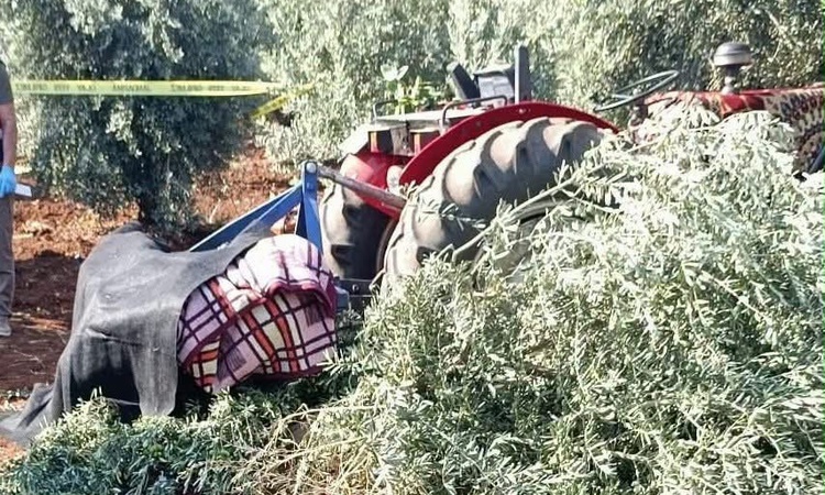 Son Gelişme: İddiaya göre zeytin tarlasında dengesini kaybeden M.Ü. traktörün arkasına düşüp öldü - Son Dakika