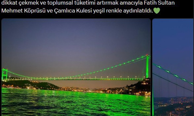 Son Gelişme: İstanbul İl Sağlık Müdürlüğü, iki simgeyi ruh sağlığı için yeşile büründürdü: Gelişmeler Takip Ed