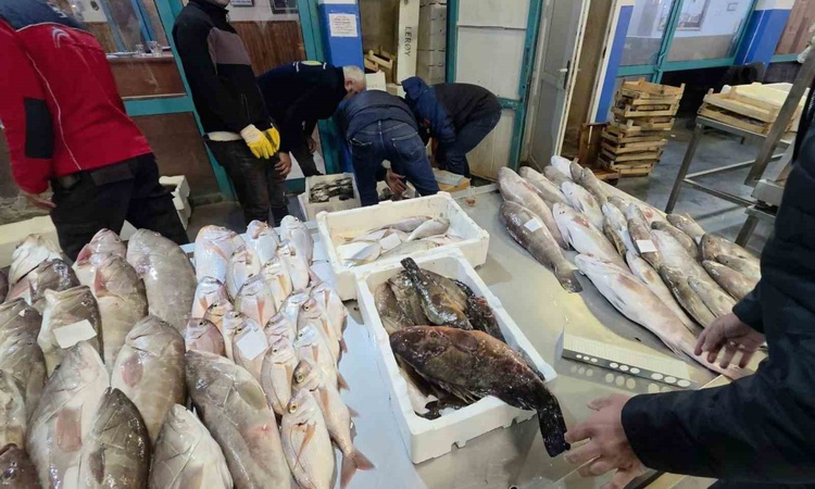 Son Gelişme: İzmir Buca Balık Hali'nde 45 kilo yasa dışı su ürününe el konuldu | İşte Tüm Ayrıntılar