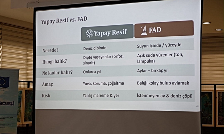Son Gelişme: Karadeniz’in deniz çayırları haritalandı ve Merak Edilenler