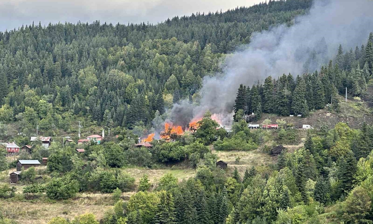 Son Gelişme: Kastamonu İnebolu'da ev yangını üç eve daha sıçradı, ekipler müdahale ediyor - Son Dakika Bilgile